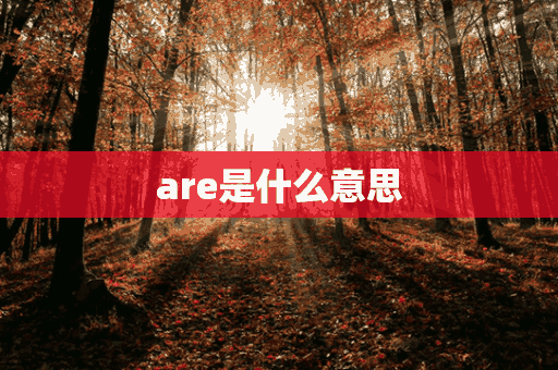 are是什么意思